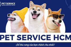 PET Service HCM