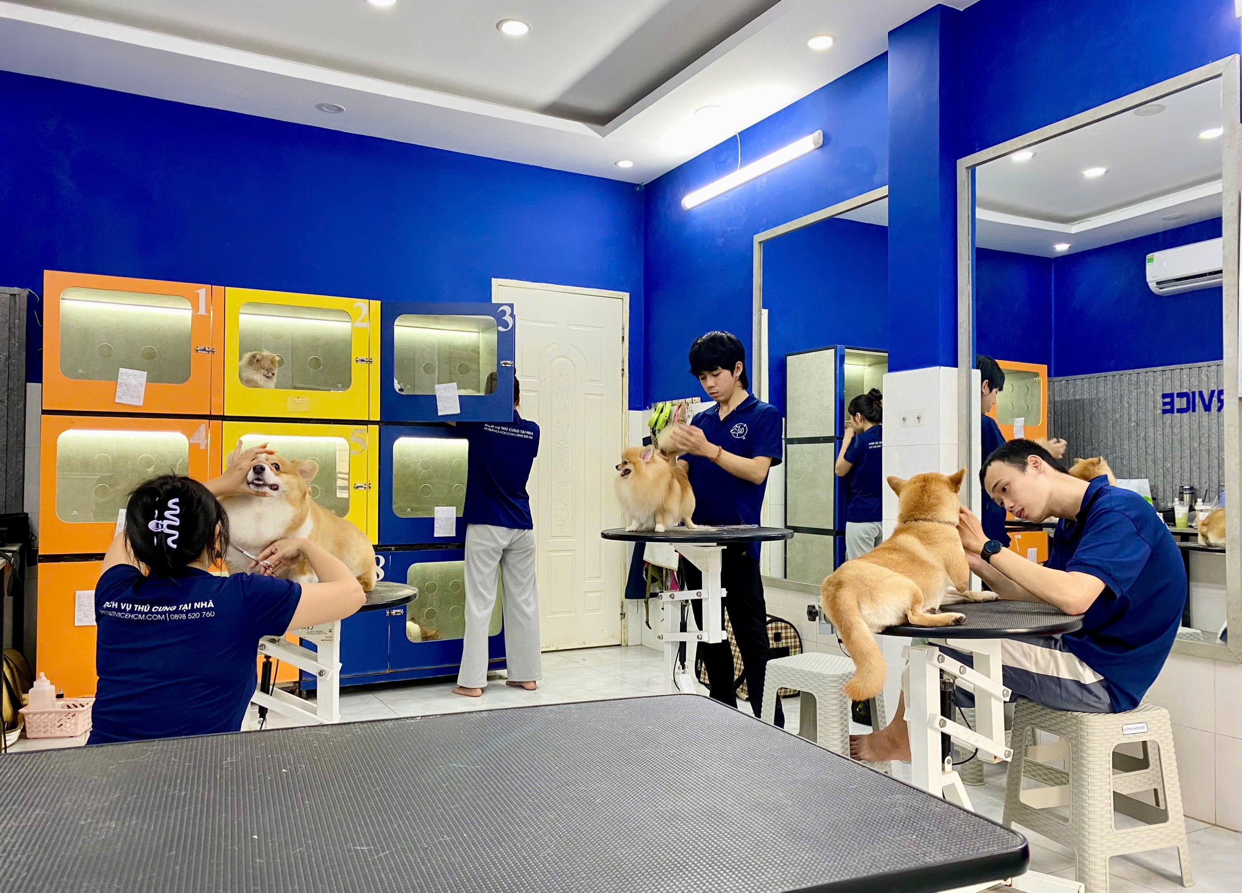 Không gian grooming Pet Service — sạch sẽ, chuyên nghiệp