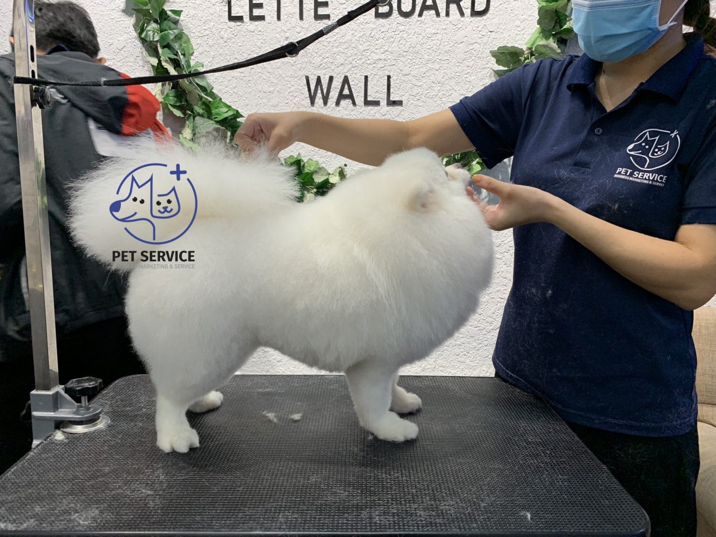 cat-tia-long-cho-meo-tai-nha