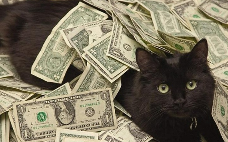 kỷ lục về loài mèo giàu nhất