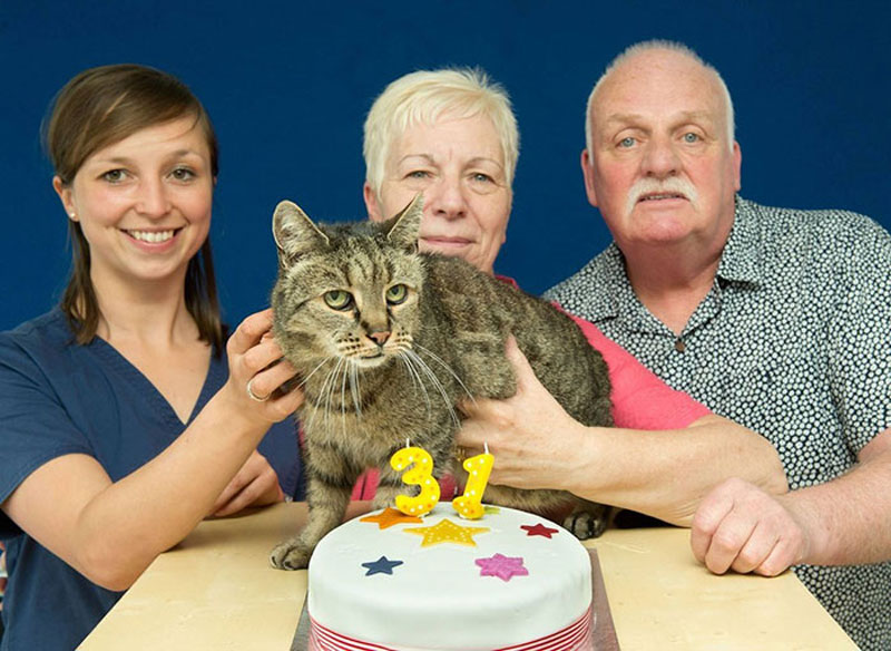 kỷ lục về loài mèo già nhất thế giới