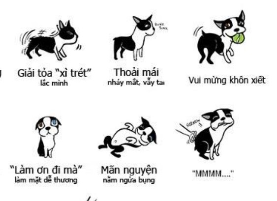 một vài ngôn ngữ cơ thể chó 