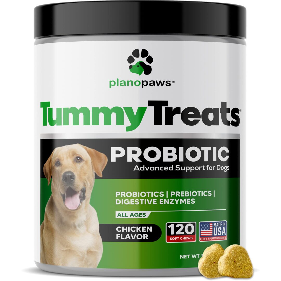 Probiotic giúp hỗ trợ điều trị tiêu chảy cho các bé Poodle