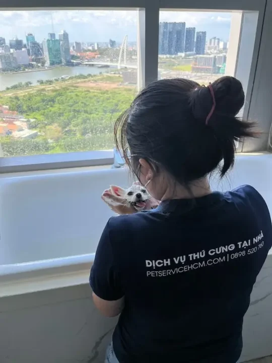 nhân viên tắm vệ sinh thú cưng tại nhà quận 2
