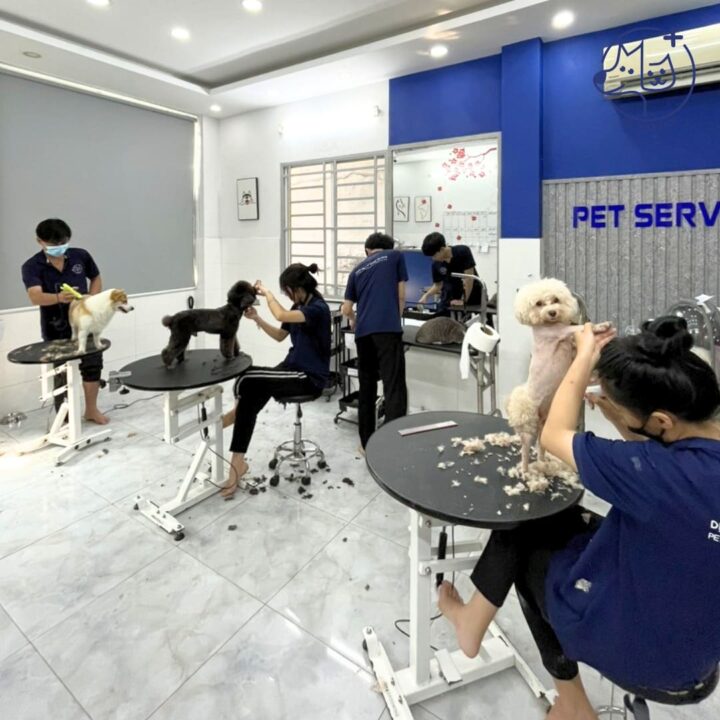 không gian spa Pet Service.