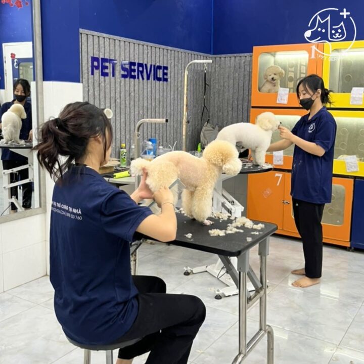 Dịch vụ spa thú cưng tại PET SERVICE Quận 7