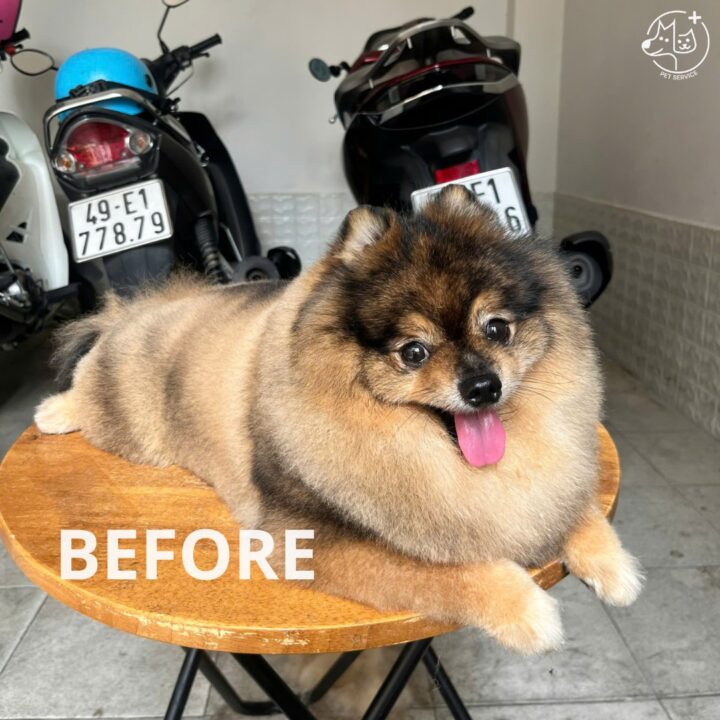Hình trước khi làm dịch vụ
